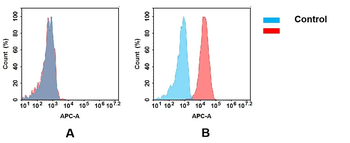 TNFRSF10B Antibody