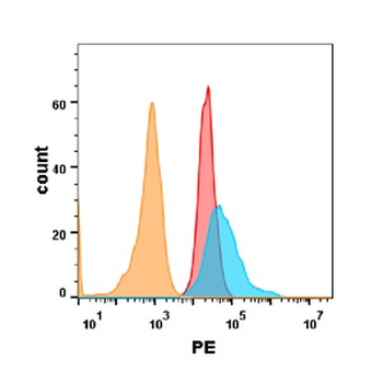 TNFRSF10B Antibody