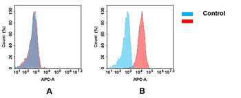 TNFRSF10B Antibody