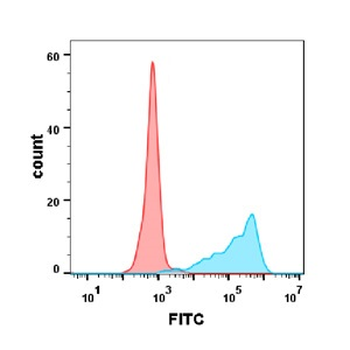 OX40 Ligand Antibody