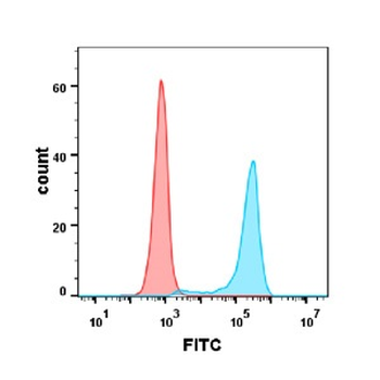 B7-1 Antibody