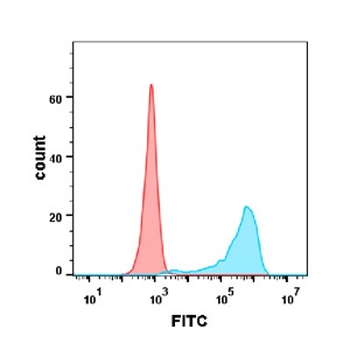 B7-1 Antibody