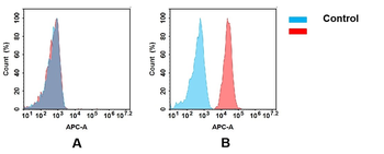 B7-1 Antibody