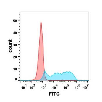 CSF1R Antibody