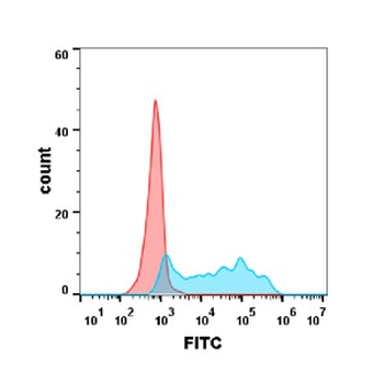 CSF1R Antibody