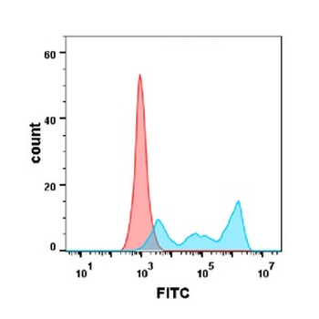 CD30 Antibody