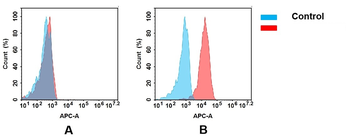 CD30 Antibody