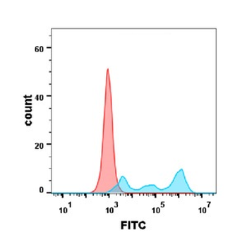 CD30 Antibody