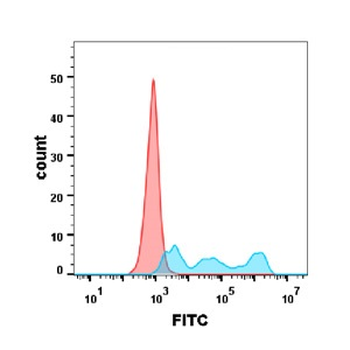 CD30 Antibody