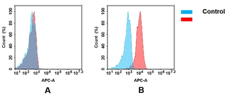 CD30 Antibody