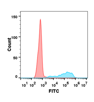 CD40 Antibody