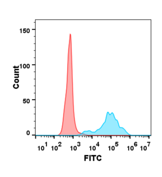 CD40 Antibody