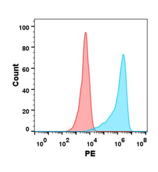 B7-H2 Antibody