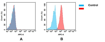 B7-H2 Antibody