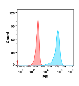 B7-H2 Antibody