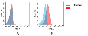 B7-H2 Antibody