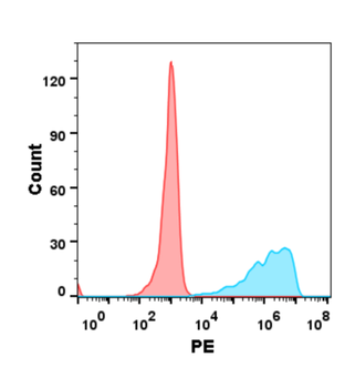 B7-H2 Antibody