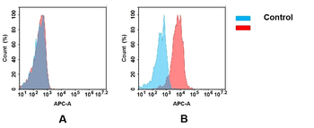 B7-H2 Antibody