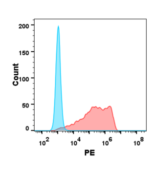 BTN3A1 Antibody