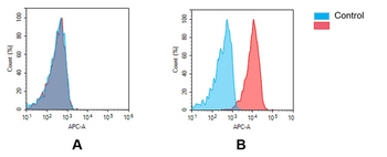 GPRC5D Antibody