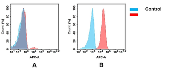 TIM3 Antibody