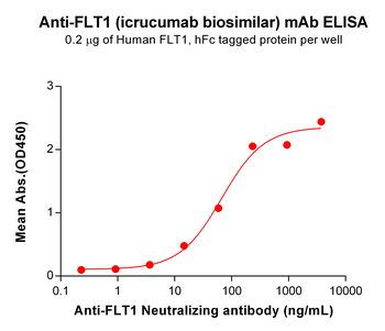 FLT1 Antibody