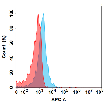 FLT1 Antibody