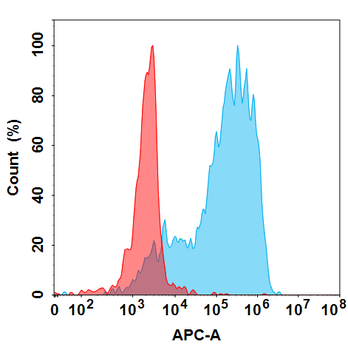 GM-CSF Antibody