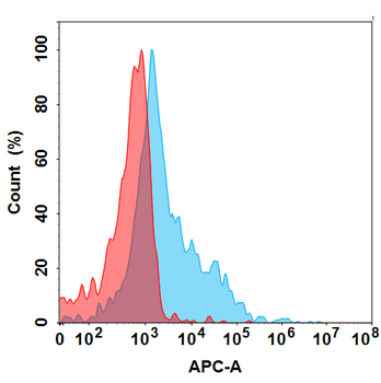 PSMA Antibody