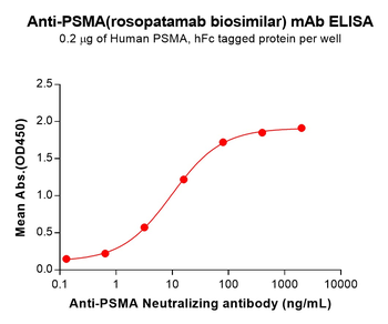 PSMA Antibody