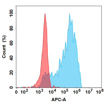 CCL2 Antibody