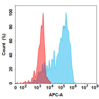 TSLP Antibody