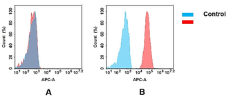 CD47 Antibody