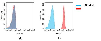 CD47 Antibody