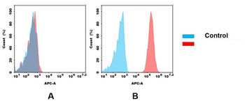 CD73 Antibody