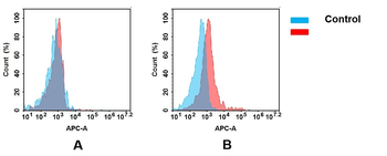 IL21R Antibody