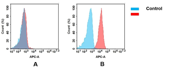 CD112 Antibody