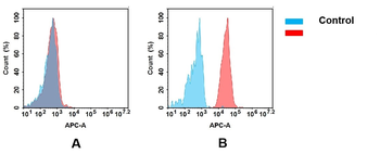 CD112 Antibody