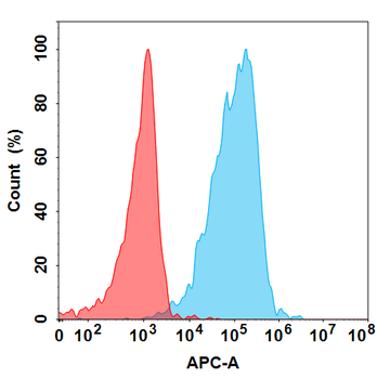 CD73 Antibody