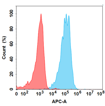 SSTR2 Antibody