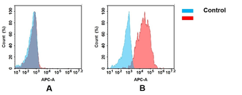 CD142 Antibody