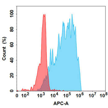 IL9 Antibody