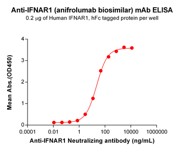 IFNAR1 Antibody