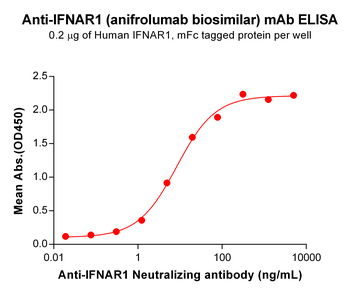 IFNAR1 Antibody