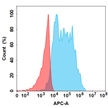 IFNAR1 Antibody