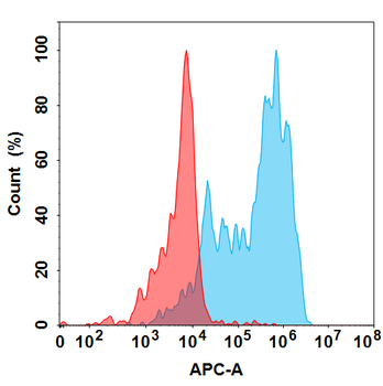 IL1B Antibody