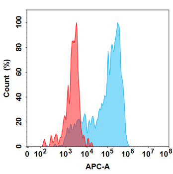 IL22 Antibody