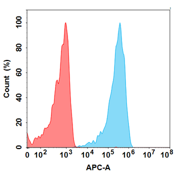 B7-H5 Antibody