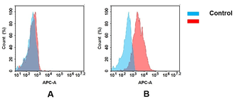 B7-H5 Antibody