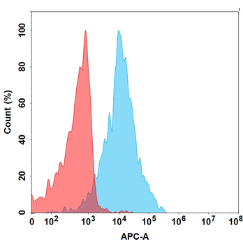 AMHR2 Antibody